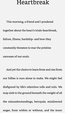 Book Excerpt